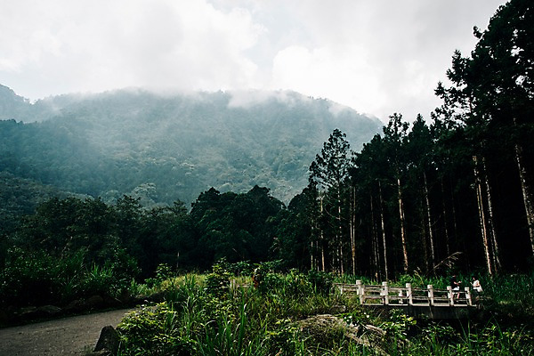 포토 JPG 주간 나무 해외풍경 사람없음 야외 안개 숲 대만 국내포토 자연요소 식물 해외 아시아 날씨 풍경 파일형식