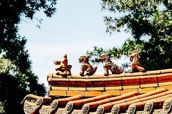 포토 JPG 주간 해외풍경 지붕 사람없음 야외 대만 기와지붕 르웨탄 문무묘 국내포토 자연요소 해외 아시아 기와 풍경 파일형식