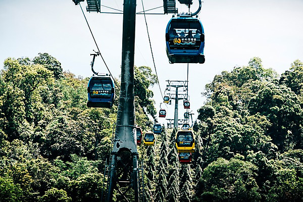 포토 JPG 주간 나무 해외풍경 사람없음 야외 대만 케이블카 르웨탄 국내포토 자연요소 식물 해외 아시아 풍경 파일형식