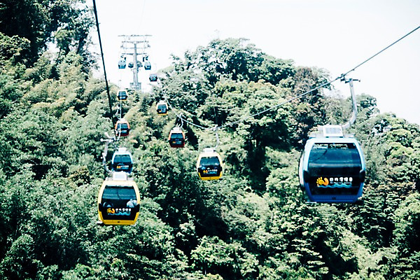 포토 JPG 주간 나무 해외풍경 사람없음 야외 대만 케이블카 르웨탄 국내포토 자연요소 식물 해외 아시아 풍경 파일형식