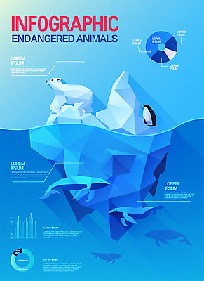 바다 일러스트 그래프 사람없음 인포그래픽 삼각형 돌고래 펭귄 북극곰 빙하 지구온난화 멸종위기동물 폴리곤 로우폴리 국내일러스트 멸종위기종 AI파일 도형 동물 곰 포유류 조류 수중동물 기후변화 파일형식 벡터