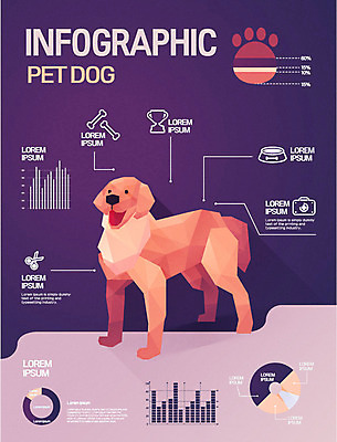 일러스트 그래프 사람없음 반려동물 인포그래픽 삼각형 강아지 애견용품 개발바닥 폴리곤 로우폴리 국내일러스트 반려용품 AI파일 도형 동물 개 오브젝트 발바닥 파일형식 벡터