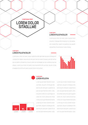 템플릿 내지 그래프 사람없음 프레젠테이션 문서템플릿 서식 레이아웃 문서 제안서 육각형 이미지템플릿 AI파일 도형 파일형식 벡터