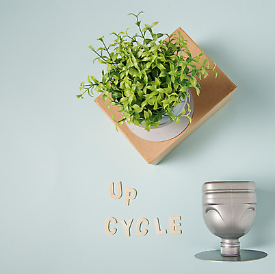 포토 JPG 스튜디오촬영 화분 실내 사람없음 새싹 자연보호 환경 그린캠페인 재활용 종이상자 에코 페트병 업사이클링 국내포토 식물 캠페인 자연 내부 상자 보호 친환경 병_담는 파일형식