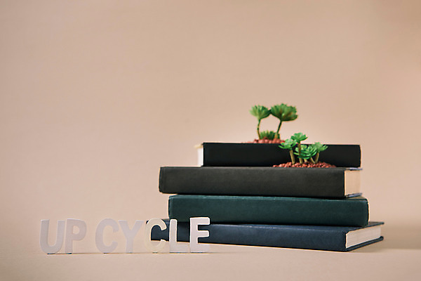 포토 JPG 스튜디오촬영 실내 사람없음 책 자연보호 환경 그린캠페인 재활용 에코 다육식물 업사이클링 국내포토 식물 캠페인 자연 내부 보호 친환경 파일형식