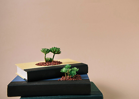 포토 JPG 스튜디오촬영 실내 사람없음 책 자연보호 환경 그린캠페인 재활용 에코 다육식물 업사이클링 국내포토 식물 캠페인 자연 내부 보호 친환경 파일형식