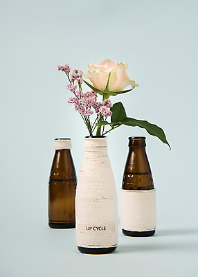 포토 JPG 스튜디오촬영 꽃 화분 유리병 실내 사람없음 자연보호 환경 그린캠페인 재활용 에코 노끈 업사이클링 국내포토 식물 줄 캠페인 자연 병_용기 내부 보호 친환경 파일형식