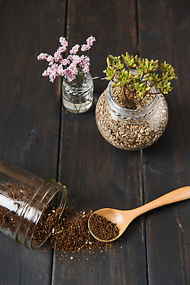 포토 JPG 스튜디오촬영 꽃 화분 실내 사람없음 자연보호 환경 숟가락 그린캠페인 흙 재활용 플라스틱 에코 업사이클링 국내포토 식물 캠페인 자연 재질 수저 내부 보호 친환경 파일형식