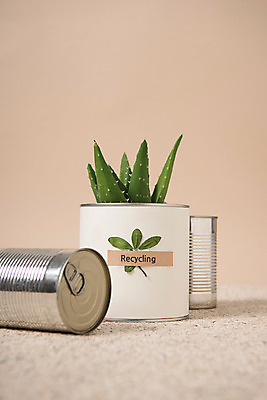 포토 JPG 스튜디오촬영 식물 화분 실내 사람없음 자연보호 환경 그린캠페인 재활용 캔 에코 다육식물 업사이클링 국내포토 캠페인 자연 내부 보호 친환경 파일형식