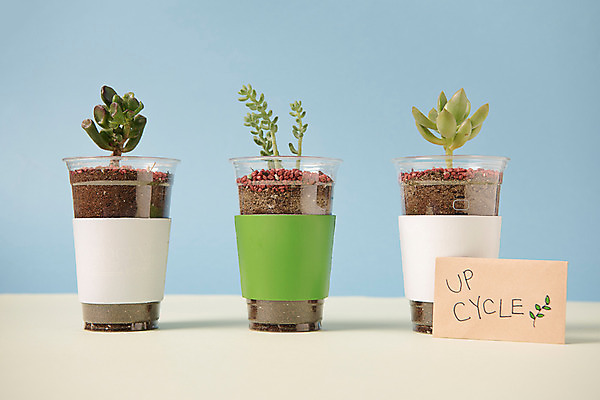 포토 JPG 스튜디오촬영 화분 실내 사람없음 자연보호 환경 그린캠페인 재활용 플라스틱 에코 다육식물 업사이클링 국내포토 식물 캠페인 자연 재질 내부 보호 친환경 파일형식