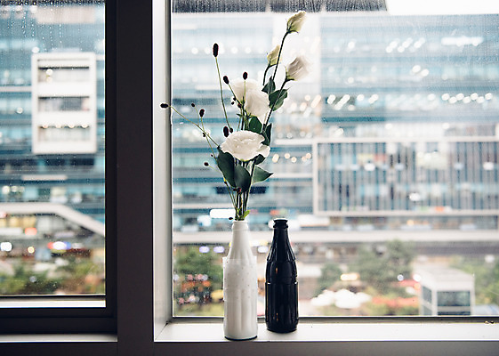 포토 JPG 꽃 화분 유리병 실내 사람없음 자연보호 환경 그린캠페인 재활용 에코 업사이클링 국내포토 식물 캠페인 자연 병_용기 내부 보호 친환경 파일형식