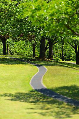 포토 JPG 주간 나무 공원 길 자연 그림자 풍경 잔디 사람없음 야외 아웃포커스 숲 국내포토 자연요소 식물 공공시설 촬영기법 생태계 파일형식