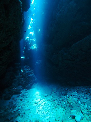 포토 JPG 바다 자연 어류 사람없음 빛 바닷속 수중동물 바위 바위틈 수중동굴 수중사진 국내포토 동물 수중 돌_바위 동굴 생태계 파일형식