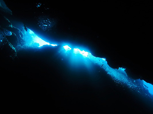 포토 JPG 바다 로우앵글 자연 어류 사람없음 빛 바닷속 수중동물 바위 바위틈 수중동굴 수중사진 국내포토 동물 뷰포인트 수중 돌_바위 동굴 생태계 파일형식