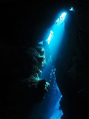 포토 JPG 바다 자연 어류 사람없음 빛 바닷속 수중동물 바위 바위틈 수중동굴 수중사진 국내포토 동물 수중 돌_바위 동굴 생태계 파일형식