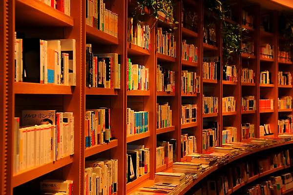 포토 JPG 책장 실내 사람없음 책 전시 원근감 진열장 서점 국내포토 뷰포인트 가구 내부 상점 파일형식