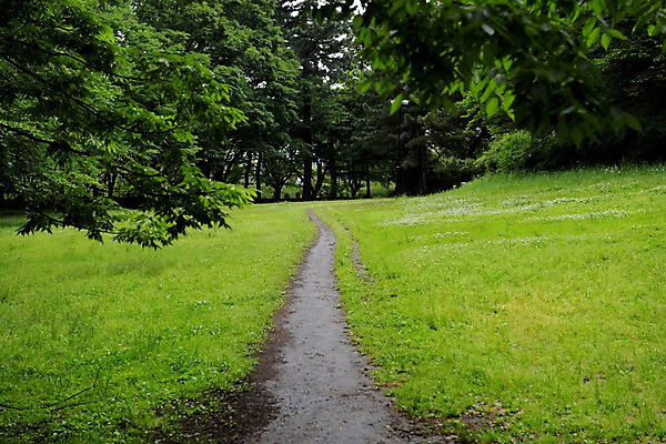 포토 JPG 주간 나무 공원 풍경 잔디 사람없음 야외 산책로 원근감 숲 국내포토 자연요소 식물 공공시설 길 뷰포인트 파일형식