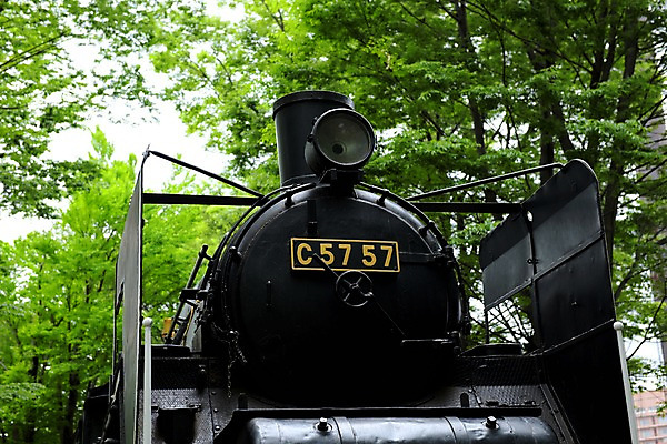 포토 JPG 주간 나무 공원 풍경 사람없음 야외 기차 숲 증기기관차 국내포토 자연요소 식물 공공시설 육상교통 대중교통 파일형식