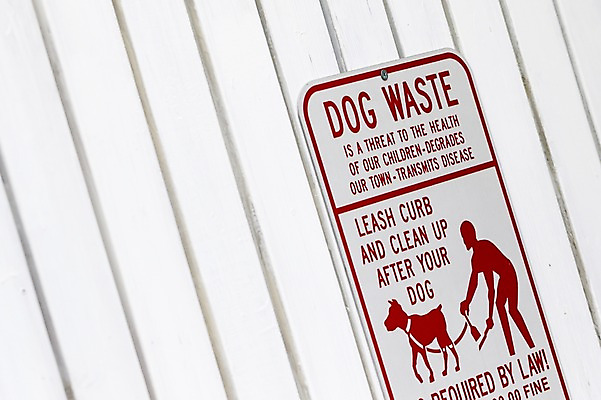 포토 JPG 주간 영어 거리 사람없음 야외 단어 픽토그램 표지판 개 배설물 반려 국내포토 자연요소 문자 포유류 알림판 파일형식