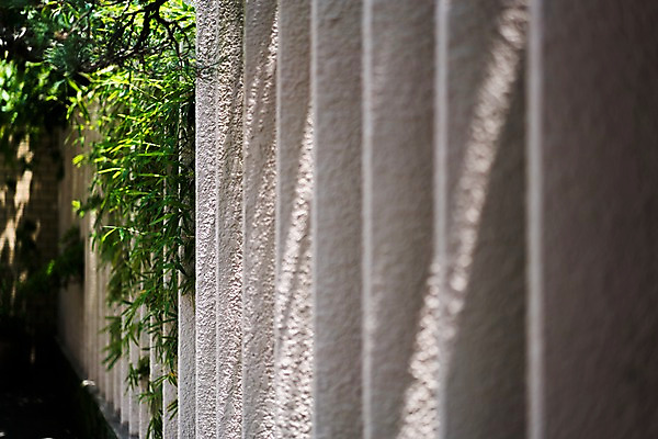 포토 JPG 주간 나무 거리 사람없음 야외 울타리 풀 국내포토 자연요소 식물 담장 파일형식