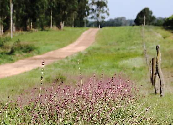 포토 JPG 해외이미지 식물 계절 공원 꽃잎 꽃 곤충 백그라운드 잎 꽃무늬 밭 농업 자연 풍경 사람없음 야외 초록색 여름 파란색 빛 컬러풀 노란색 정원 맑음 봄 벚꽃 흰색 시골 신선 개화 수분 데이지 내추럴 캐모마일 해외202004 해외포토 동물 공공시설 산업 컬러 무늬 날씨 허브 생태계 파일형식 이미지허브