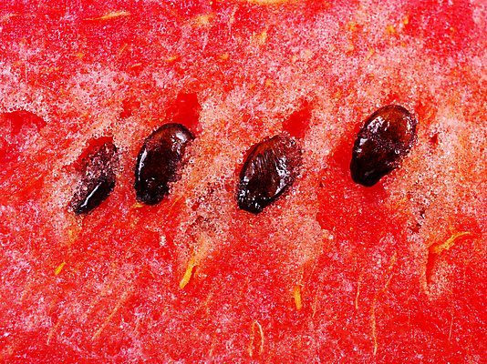 포토 JPG 해외이미지 스튜디오촬영 계절 음식 농업 과일 재료 태국 수박 씨앗 사람없음 빨간색 초록색 여름 농장 일본 달콤 상품 시원함 멜론 열대과일 만족 유기농 고립 해외202004 해외포토 식물 웰빙 감정 산업 아시아 컬러 실내 맛 파일형식 이미지허브