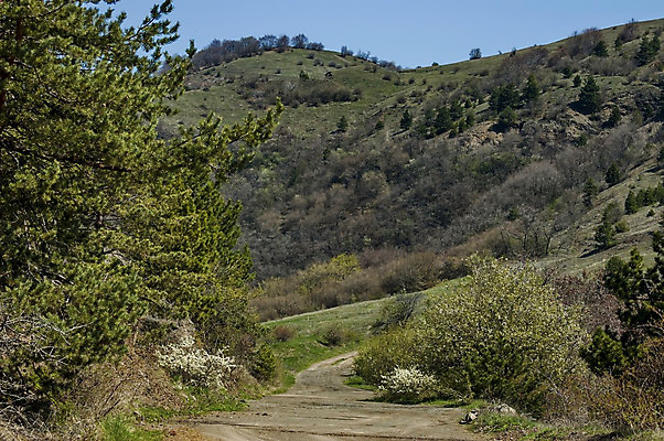 포토 JPG 해외이미지 나무 구름 계절 여행 백그라운드 낙엽 자연 하늘 산 파노라마 풍경 사람없음 목재 초록색 파란색 계곡 봄 소나무 숲 언덕 장면 불가리아 해외202004 해외포토 자연요소 식물 컬러 잎 재료 촬영기법 생태계 파일형식 남유럽 이미지허브
