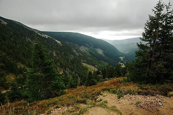 포토 JPG 해외이미지 나무 구름 계절 유럽 여행 백그라운드 자연 하늘 휴가 산 파노라마 풍경 사람없음 야외 초록색 환경 계곡 안개 가을 숲 언덕 내추럴 해외202004 해외포토 자연요소 식물 나라 컬러 날씨 촬영기법 생태계 파일형식 이미지허브