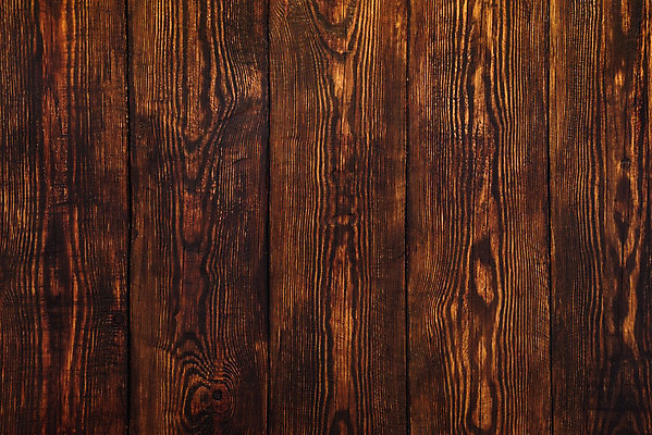 포토 JPG 해외이미지 나무 백그라운드 근접촬영 사람없음 목재 갈색 질감 카피스페이스 해외202004 해외포토 식물 뷰포인트 컬러 재료 공백 파일형식 이미지허브