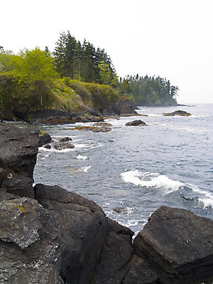 포토 JPG 해외이미지 나무 식물 공원 모래 파도 바다 섬 자연 조류 풍경 사람없음 야외 초록색 물 여름 환경 봄 캠핑 숲 캠핑장 태평양 워싱턴 해외202004 해외포토 자연요소 동물 계절 공공시설 컬러 레저 미국 생태계 파일형식 이미지허브