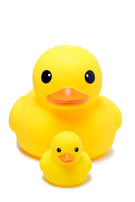 포토 JPG 해외이미지 동물 어린이 백그라운드 오렌지 놀이 조류 오리 사람없음 물 장난감 노란색 소리 목욕 욕실 흰색 아기 빨래 플라스틱 오브젝트 부리 고무 고립 샤워실 해외202004 해외포토 자연요소 컬러 가사 과일 재질 사람 청결 샤워시설 파일형식 이미지허브