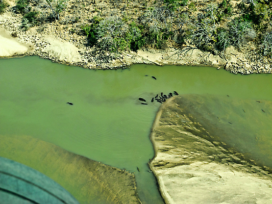 포토 JPG 해외이미지 건축물 바다 섬 여행 공장 교통시설 아프리카 자연 안테나 풍경 사람없음 건물 물 파란색 관광지 하이앵글 농장 도시 숲 암초 타운 스카이라인 랜드마크 열대기후 조감도 탄자니아 해외202004 해외포토 자연요소 건축 나라 뷰포인트 컬러 교통 농업 통신 공업 시설 생태계 파일형식 이미지허브