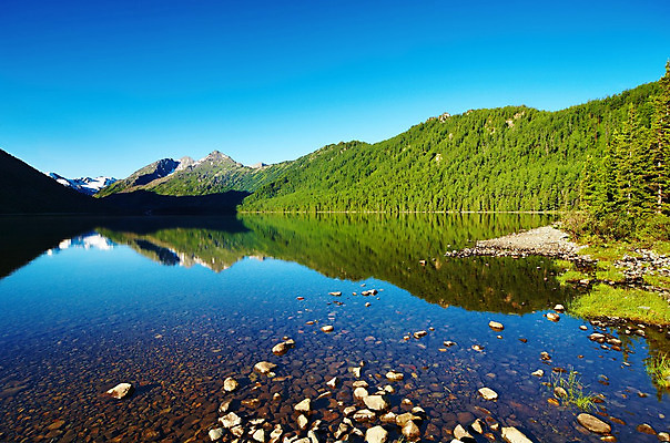 포토 JPG 해외이미지 나무 호수 여행 자연 하늘 아침 산 파노라마 풍경 사람없음 초록색 물 여름 파란색 햇빛 반사 환경 계곡 맑음 침묵 거울 숲 빙하 암초 산악지대 생태학 시베리아 웅장함 절정 정확 해외202004 해외포토 주간 자연요소 식물 계절 교육 컬러 컨셉 날씨 촬영기법 태양 소리 생태계 파일형식 이미지허브