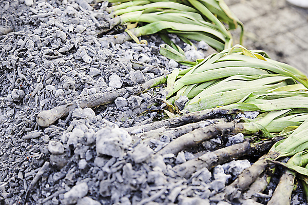포토 JPG 해외이미지 1 음식 빵 백그라운드 채소 재료 전구 건강 마늘 요리 사람없음 빨간색 초록색 파란색 갈색 머리 주방 보라색 검은색 흰색 신선 뜨거움 황금 닫기 맛 자르기 굽기 허브 향신료 묘사 올리브 질감 해외202004 해외포토 식물 열매 컬러 컨셉 모션 신체부위 구이 향미료 파일형식 이미지허브