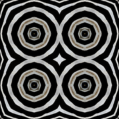 포토 JPG 해외이미지 동물 디자인 야생동물 백그라운드 패턴 포유류 아프리카 자연 추상 털 사람없음 장식 검은색 줄무늬 흰색 인쇄 가죽 사파리 피부 묘사 질감 얼룩말 동물상 해외202004 해외포토 나라 컬러 무늬 신체부위 조형물 말_동물 생태계 파일형식 이미지허브