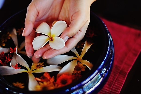 포토 JPG 해외이미지 손 꽃 들기 신체부위 물 수건 스파 손모으기 대야 해외포토 자연요소 식물 모션 사람 손짓 위생용품 파일형식 이미지허브