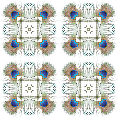 포토 JPG 해외이미지 동물 디자인 야생동물 백그라운드 패턴 자연 조류 추상 사람없음 초록색 파란색 컬러풀 흰색 우아함 공작 깃털 질감 꼬리 솜털 고립 이국적 해외202004 해외포토 컬러 컨셉 무늬 생태계 파일형식 이미지허브