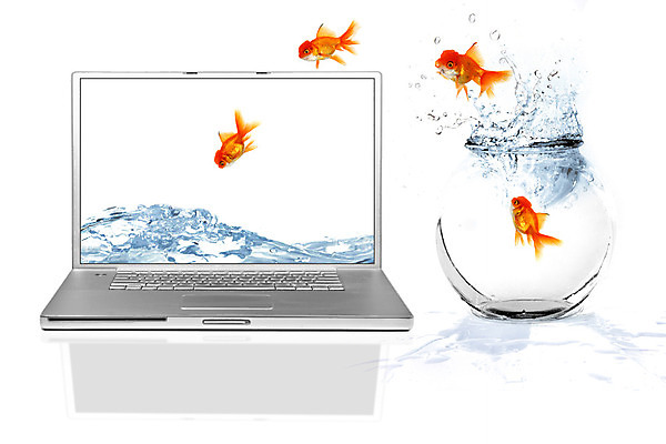 포토 JPG 해외이미지 동물 백그라운드 컨셉 모션 유리 어류 사람없음 공중 그래픽 노트북 컴퓨터 달리기 디지털 스크린 모니터 점프 수중 수영 침묵 자유 탐험 흰색 액체 사발 황금 떨어짐 어항 탈출 금붕어 탱크 수족관 동영상 고립 넘어짐 보호구역 진짜 스플래쉬 가상 현실 해외202004 해외포토 컬러 재질 전자제품 수중동물 소리 수상스포츠 사기그릇 구역 파일형식 이미지허브