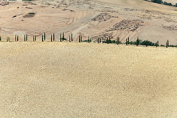 포토 JPG 해외이미지 나무 선 패턴 밭 농업 자연 건조 풍경 사람없음 여름 평화 환경 고요 이탈리아 사막 달력 성장 가을 시골 만취 언덕 부식 그림 포도밭 장면 시에나 토스카나 해외202004 해외포토 식물 계절 유럽 산업 컨셉 무늬 생태계 술취함 파일형식 이미지허브