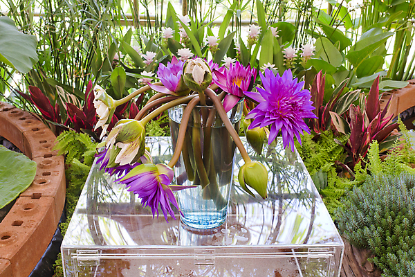 포토 JPG 해외이미지 식물 디자인 꽃잎 꽃 분홍색 꽃다발 잎 꽃무늬 자연 사람없음 내부 장식 초록색 물 꽃병 봄 벚꽃 흰색 신선 개화 오브젝트 내추럴 해외202004 해외포토 자연요소 계절 컬러 무늬 생태계 파일형식 이미지허브