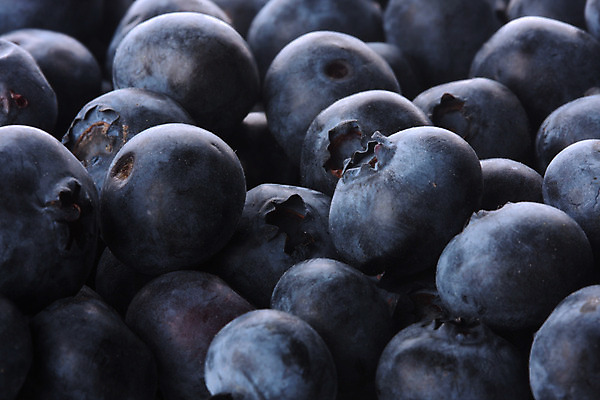 포토 JPG 해외이미지 열매 음식 백그라운드 과일 건강 사람없음 가로 농작물 블루베리 해외202004 해외포토 식물 농업 파일형식 이미지허브