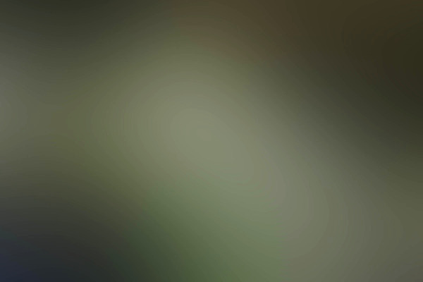 포토 JPG 해외이미지 템플릿 디자인 실루엣 백그라운드 컨셉 겨울 패턴 일러스트 벽지 추상 바닥 프레임 경사 사람없음 그래픽 장식 초록색 물 빛 금속 디지털 계란 어둠 공백 추위 수확 우아함 야간 소프트포커스 질감 레이아웃 심플 비네팅 내추럴 구식 깊이 블러 엘리먼트 터키석 평야 효과 해외202004 해외포토 자연요소 계절 컬러 무늬 농업 자연 재질 촬영기법 알 보석 파일형식 이미지허브