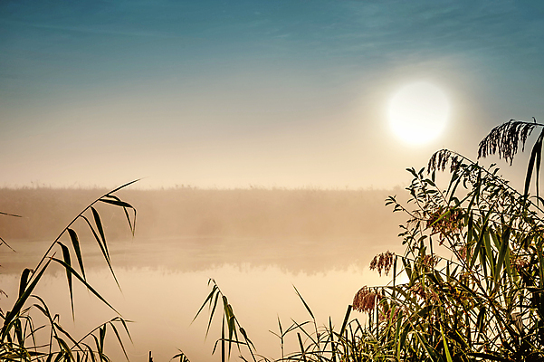 포토 JPG 해외이미지 나무 실루엣 호수 백그라운드 자연 하늘 아침 추상 풍경 사람없음 야외 물 여름 빛 강 태양 반사 일본 검은색 중국 어둠 새벽 할로윈 수확 안개 광선 달 연못 야간 소프트포커스 신비 복고 장면 후광 광 뿌연 해외202004 해외포토 주간 자연요소 식물 계절 아시아 컬러 컨셉 무늬 농업 날씨 촬영기법 생태계 파일형식 이미지허브