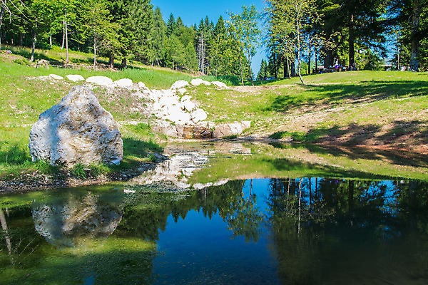 포토 JPG 해외이미지 나무 식물 공원 호수 물결 백그라운드 잎 자연 하늘 산 풍경 사람없음 야외 초록색 물 여름 파란색 강 반사 평화 환경 계곡 맑음 침묵 거울 바위 흰색 시골 연못 신선 소나무 황무지 고독 숲 그림 진흙 생태학 해외202004 해외포토 자연요소 계절 공공시설 교육 감정 컬러 컨셉 날씨 소리 돌_바위 생태계 파일형식 이미지허브
