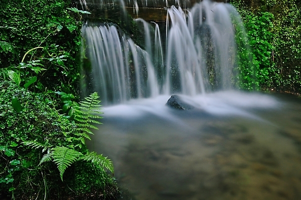 포토 JPG 해외이미지 나무 식물 계절 공원 잎 자연 아침 휴식 이끼 풍경 사람없음 야외 초록색 물 여름 빛 강 평화 환경 고요 봄 폭포 젖음 흐름 추위 가을 바위 신선 개울 급류 떨어짐 숲 열대우림 내추럴 양치류 해외202004 해외포토 주간 자연요소 공공시설 컬러 컨셉 돌_바위 생태계 파일형식 이미지허브