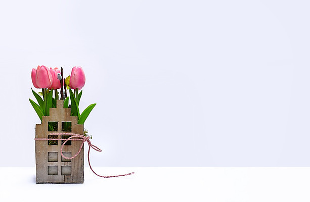 포토 JPG 해외이미지 식물 템플릿 디자인 기념일 꽃 줄 벽 분홍색 꽃다발 결혼 백그라운드 컨셉 꽃무늬 비즈니스 자연 휴가 주택 발렌타인데이 사랑 사람없음 목재 장식 초록색 빛 우주 봄 공백 회색 튤립 벚꽃 흰색 축하 인사 신선 신용카드 심플 노끈 목업 스타일 브랜딩 해외202004 해외포토 나무 계절 감정 컬러 무늬 재료 데이이벤트 이벤트 건물 금융 예절 생태계 파일형식 이미지허브