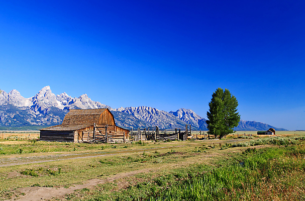 포토 JPG 해외이미지 나무 공원 여행 자연 하늘 아침 산 사람없음 파란색 반사 여행객 일출 맑음 역사 호기심 영양 내추럴 외양간 와이오밍 전국 해외202004 해외포토 주간 식물 공공시설 감정 컬러 컨셉 날씨 사람 노을 생태계 파일형식 이미지허브