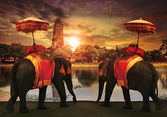 포토 JPG 해외이미지 동물 전통 공원 아시아 종교 문화 여행 밭 우산 포유류 태국 코끼리 풍경 사람없음 야외 장식 단어 세계 여행객 탑 연못 도시 사찰 역사 재산 클래식 승차 큼 인도인 당구 방콕 옛날 왕국 해외202004 해외포토 외국인 문자 건축물 공공시설 나라 컨셉 농업 종교건축 모션 사람 동양인 금융 구기 크기 파일형식 이미지허브