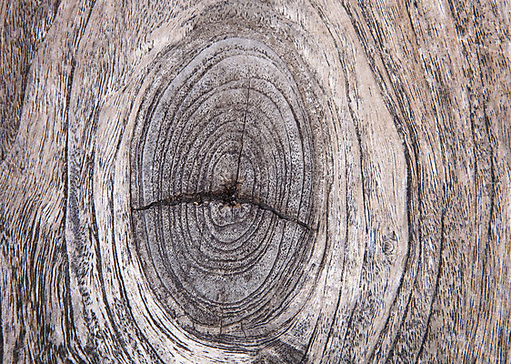 포토 JPG 해외이미지 모양 나무 산업 선 조각 백그라운드 십자가 패턴 부분 자연 표면 날씨 추상 사람없음 목재 갈색 줄무늬 반지 원형 센터 역사 널 숲 장작 자르기 유기농 질감 통나무 나무껍질 잡동사니 내추럴 방법 수목 옛날 노화 해외202004 해외포토 도형 식물 웰빙 컬러 컨셉 무늬 재료 장신구 모션 껍질 생태계 파일형식 이미지허브