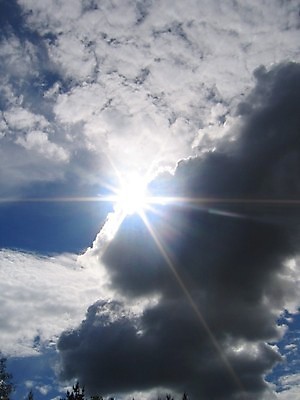 포토 JPG 해외이미지 나무 꽃 잎 사람없음 초록색 여름 봄 게 바위 흰색 하트 아스팔트 나무껍질 해외202004 해외포토 모양 식물 계절 도로 컬러 갑각류 껍질 돌_바위 파일형식 이미지허브